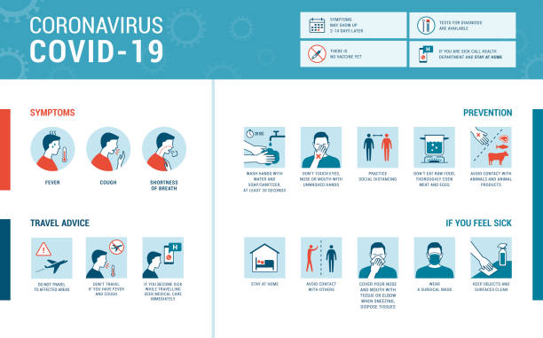 what is coronavirus oc43 - cdc hepatitis b vaccine fact sheet spanish